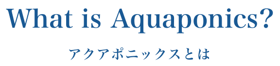 What is Aquaponics? アクアポニックスとは