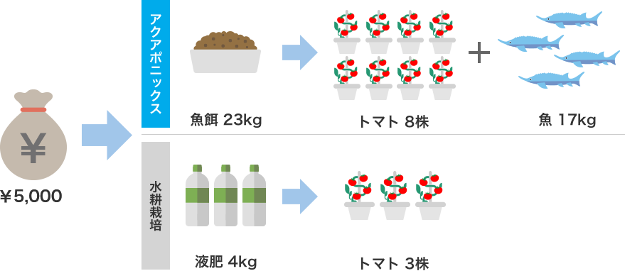 液肥栽培に比べて2.6倍の生産性